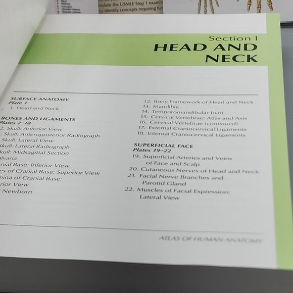 Atlas of Human Anatomy by Frank H. Netter & Anatomy Interactive CD - Picture 6 of 10